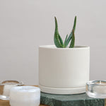 Kinto 5 inch Porcelain Plant Pot in Earth Grey 