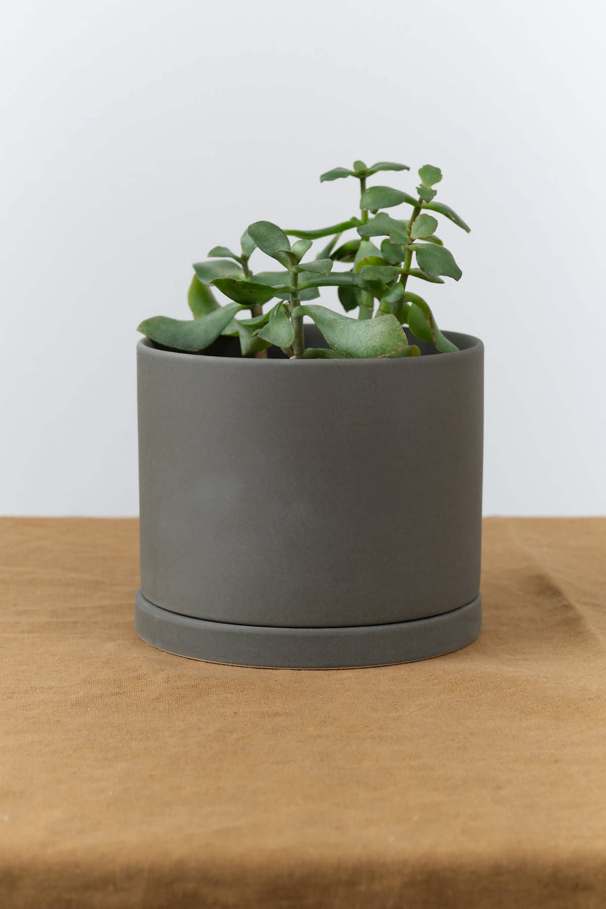 Front view of 5" Plant Pot with Drainage Holes in Dark Gray