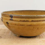Lesley Anton Home Kitchen Dishware Rib Bowl in Kelp Kelp