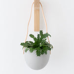 Light + Ladder Home Planters Leather Spora Planter in Stone Stone / 7" L X 5.75" W X 6.75" H