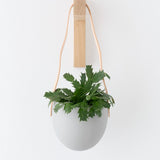 Light + Ladder Home Planters Leather Spora Planter in Stone Stone / 7" L X 5.75" W X 6.75" H