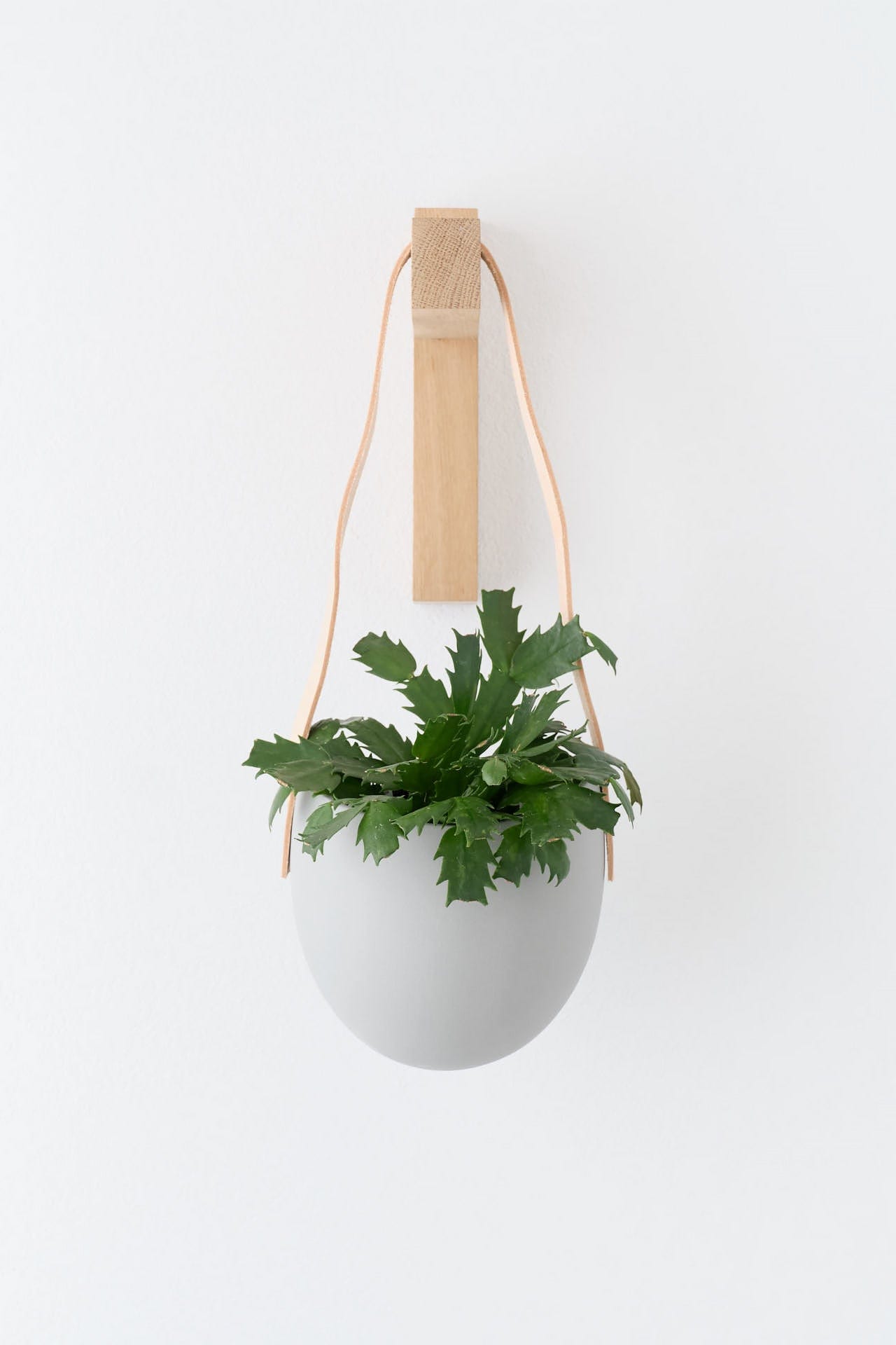 Light + Ladder Home Planters Leather Spora Planter in Stone Stone / 7" L X 5.75" W X 6.75" H