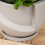 Light + Ladder Home Planters Small Vayu Planter in Stone Stone / 7.75” L X 7.75” W X 5” H