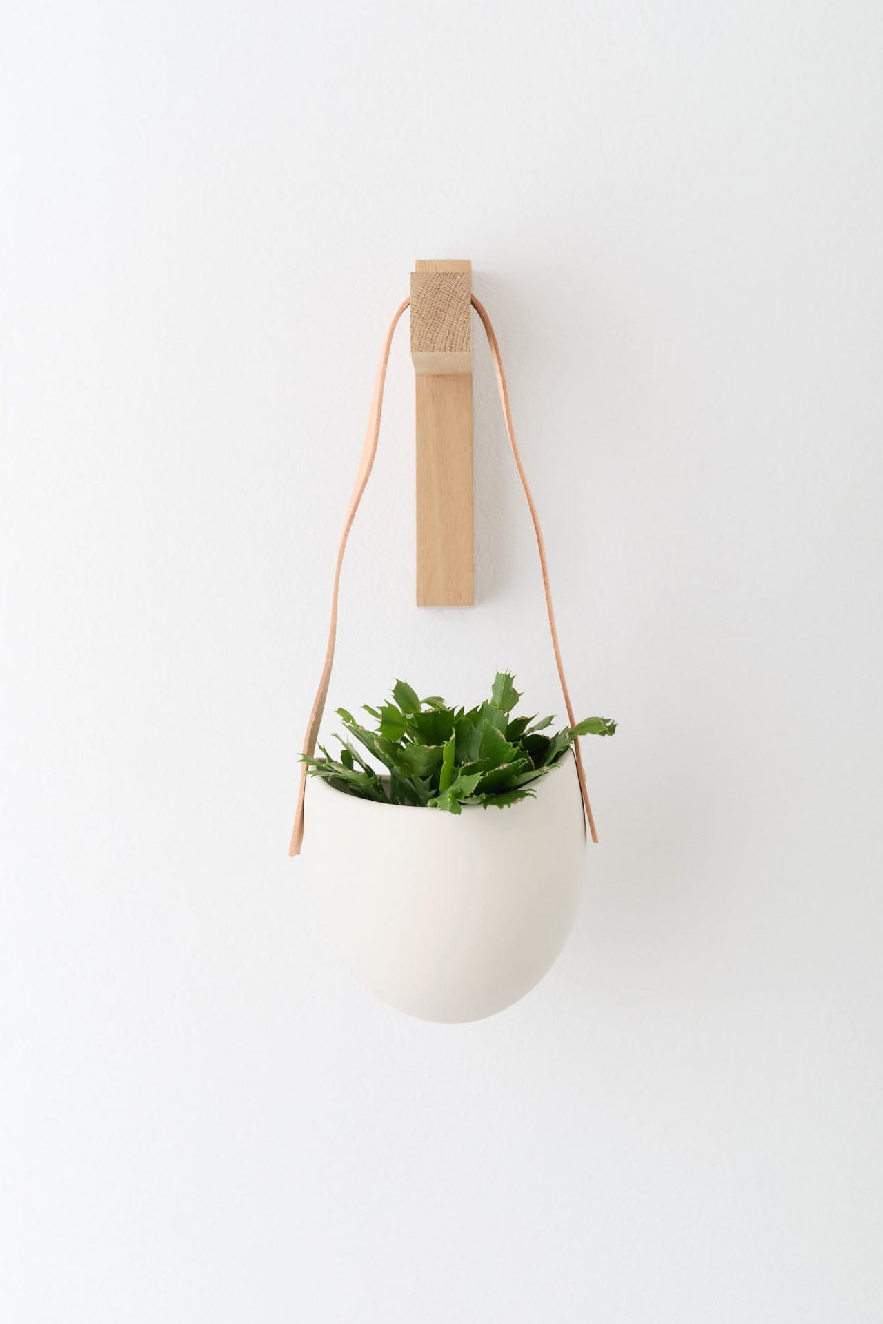 Light + Ladder Home Planters Leather Spora Planter in White White / 7" L X 5.75" W X 6.75" H