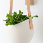 Light + Ladder Home Planters Leather Spora Planter in White White / 7" L X 5.75" W X 6.75" H
