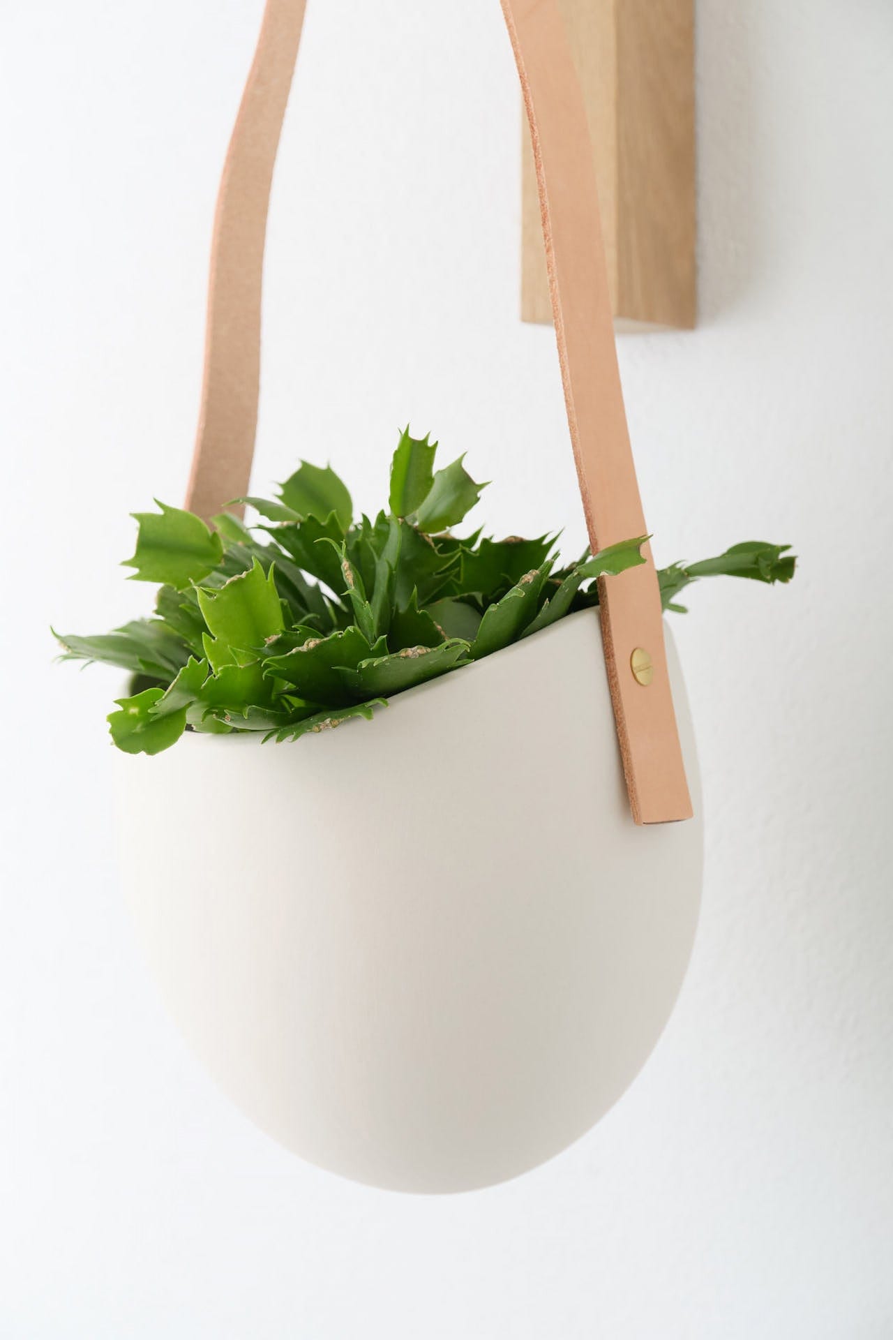 Light + Ladder Home Planters Leather Spora Planter in White White / 7" L X 5.75" W X 6.75" H