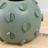 Barrel Cactus Circle Wide Vase in Blue Green by Matthew Ward Studio