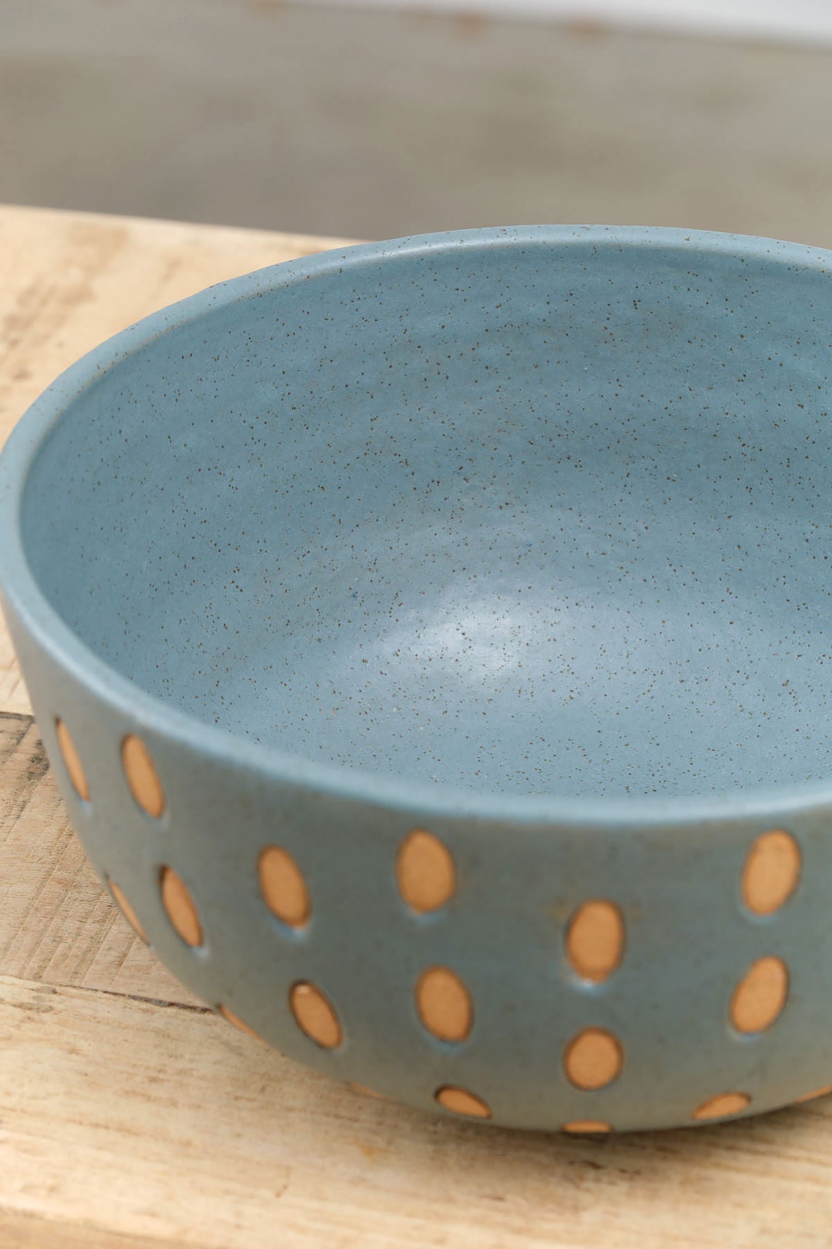 Matthew Ward Studio Fruit Seeds Large Bowl in Blue Speckled Glaze