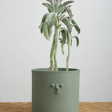 Rami Kim Studio Mini Face Planter in Mongolian Green