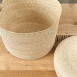 Natural Medium Palm Basket by Minna