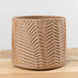10" Fern Planter in Raw Clay