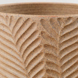 10" Fern Planter in Raw Clay