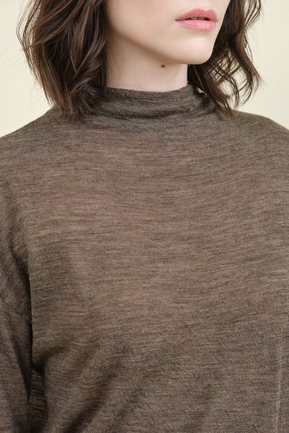 Neckline on Wool Gauze High Neck Long Sleeve Pullover in Beige