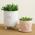 Face Pot Set in Blush with tripod planter
