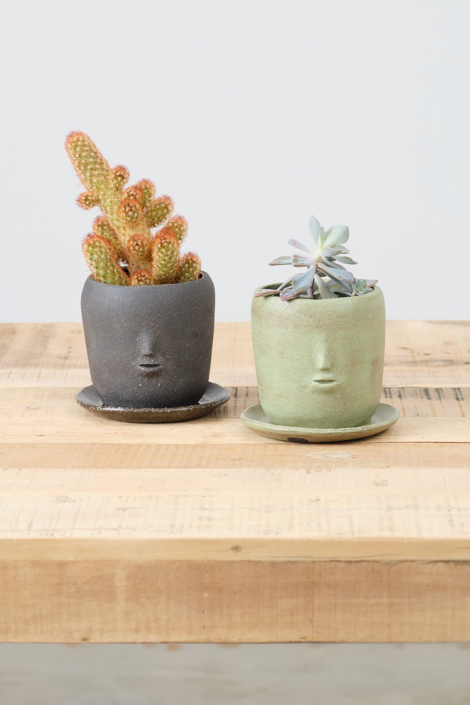 Rami Kim Studio Home Planters Face Pot Set in Warm Green Warm Green