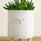 Tripod Mini Face Planter in White