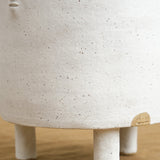 Tripod legs on Tripod Mini Face Planter in White