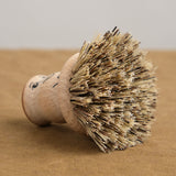 Bristles on Pot Brush