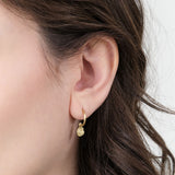 Sarah McGuire Kelp Charm Hoops in Gold