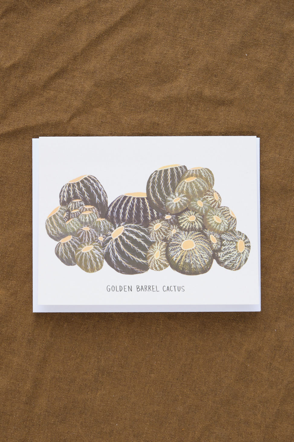 Golden Barrel Cactus Card