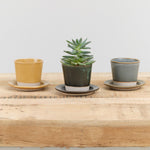 WRF Lab Ceramics Small Planter in Ash Wreath and Mustard 