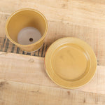 WRF Lab Ceramics Small Planter with Saucer in Mustard Yellow