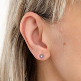 Young In The Mountains Jewelry Earrings Shobu Earrings in Purple Burro Creek Agate 14K Yellow Gold / Pair