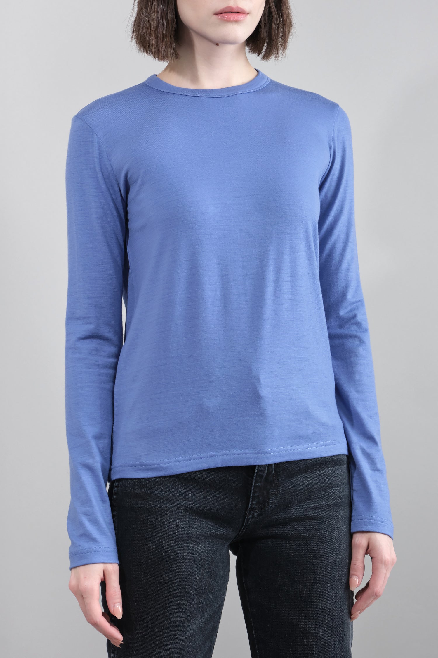 Front of Tad Long Sleeve Top in Anemome