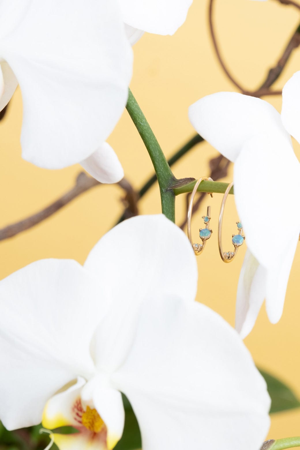 WWAKE Jewelry Earrings Inverted Hoop Earrings Opal / Pair