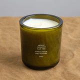 Flamingo Estate Home Candles Ancient Agrigento Olive Tree Candle