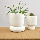 Kati Von Lehman Home Planters Large Pedestal Planter in White White Stoneware