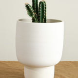 Kati Von Lehman Home Planters Small Pedestal Planter White Stoneware