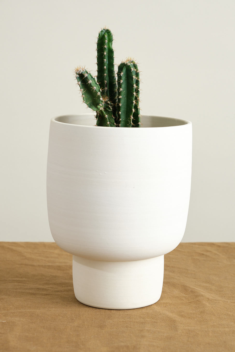 Small Pedestal Planter on table