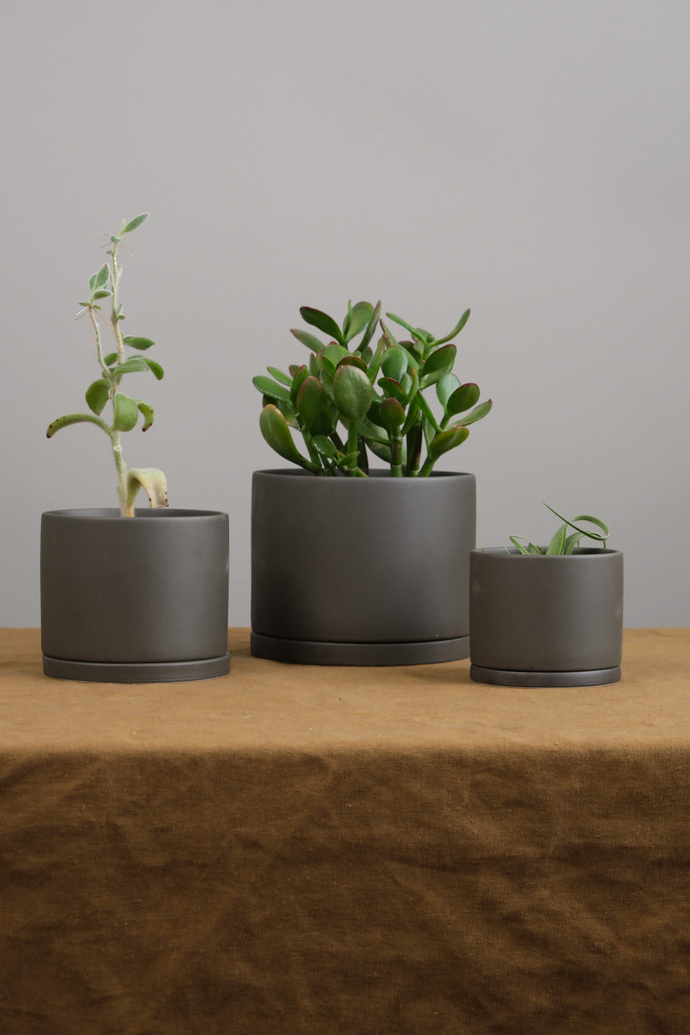 Varied sizes of plant pots