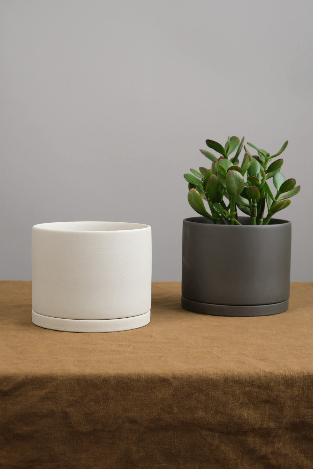5" Plant Pot in two colors