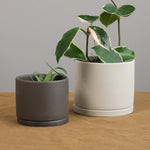 4" Plant Pot n earth grey with 3" plant pot in dark grey