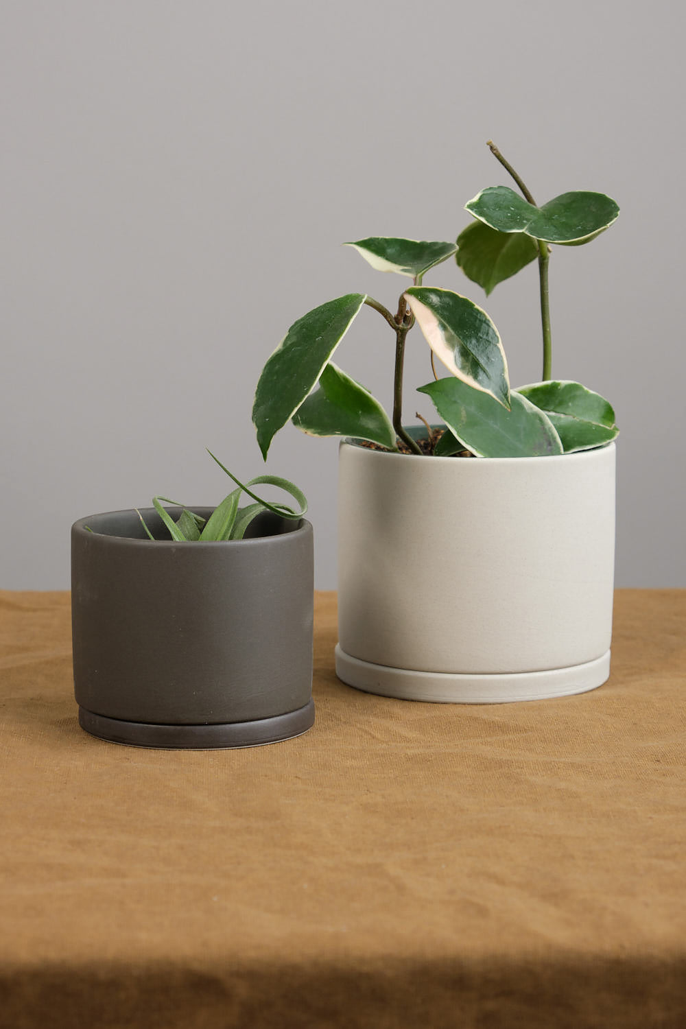 4" Plant Pot n earth grey with 3" plant pot in dark grey