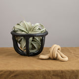 Virginia Sin Home Kitchen Containers Moth Fruit Bowl