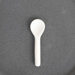 Small Serving Spoon