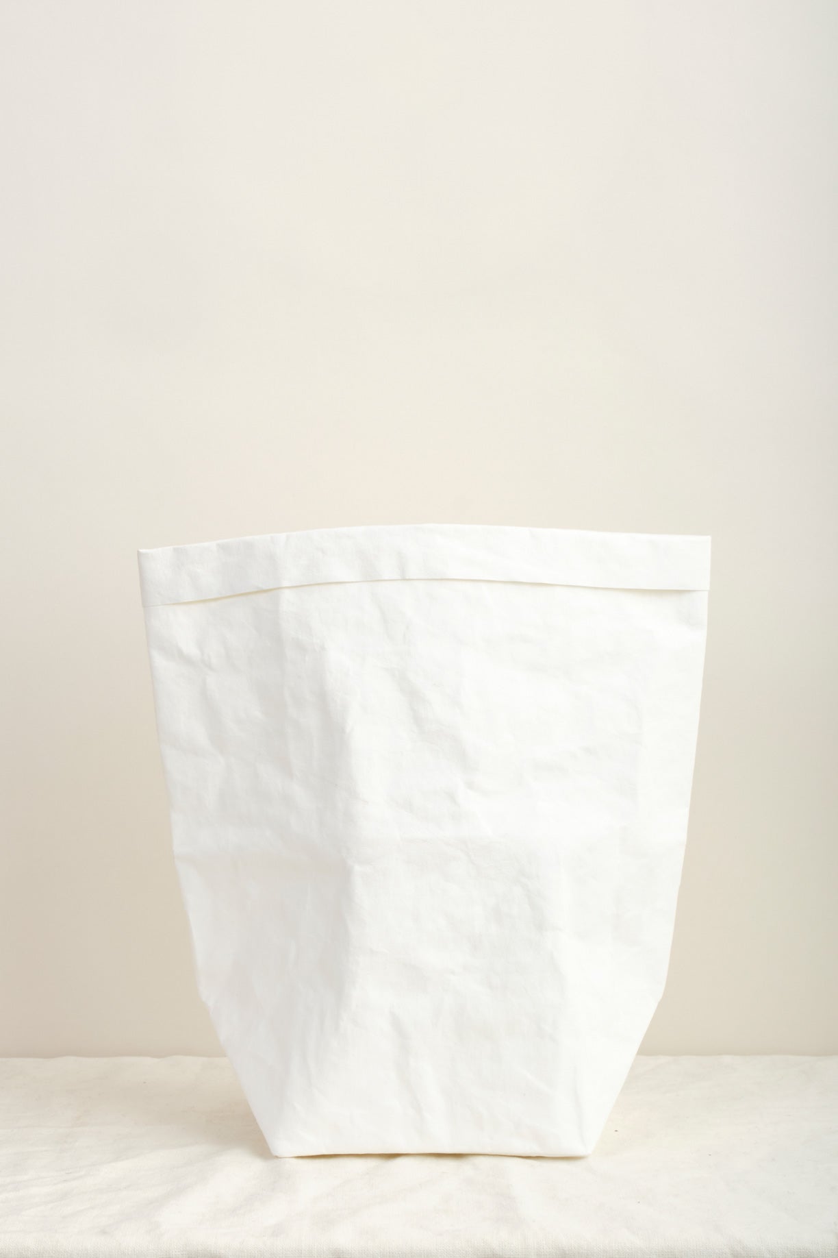 Large Plus Paper Bag