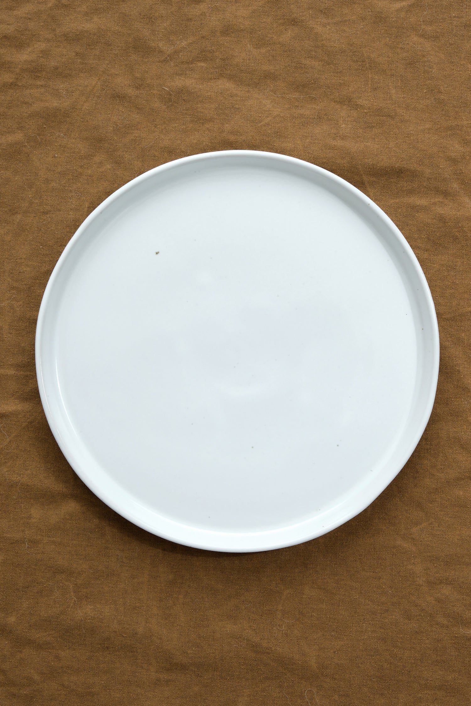Large Standard Plate in white