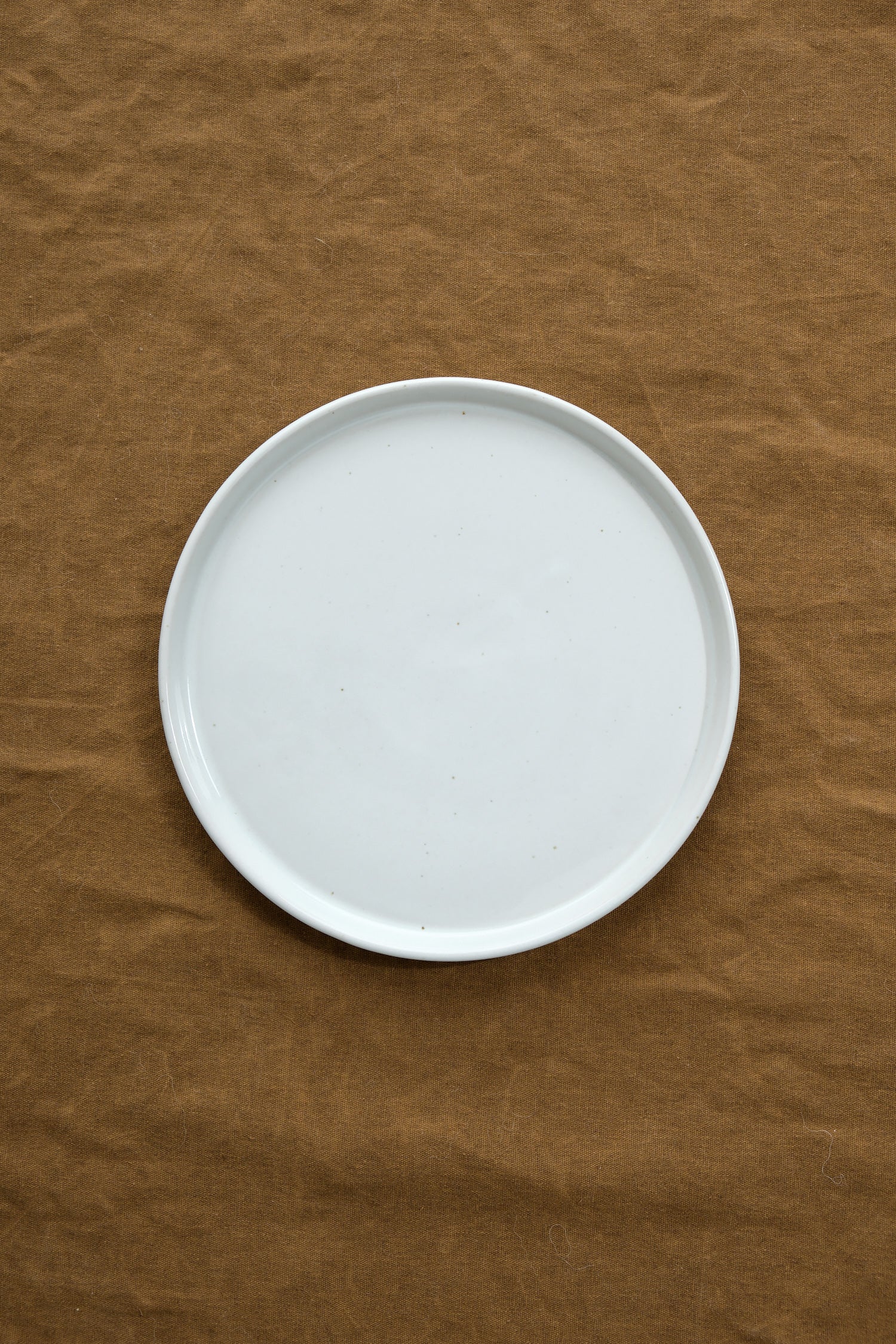 Medium Standard Plate in white